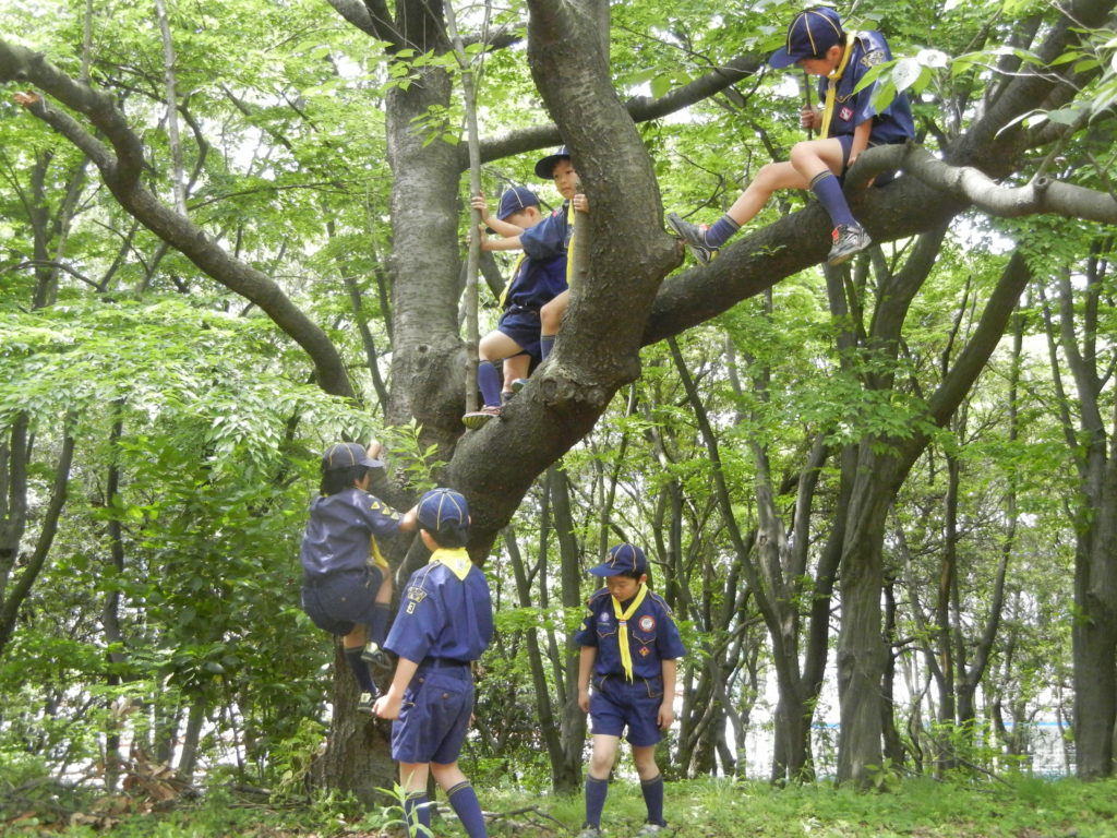 カブ活動報告