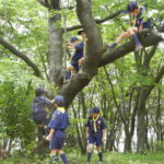 カブ活動報告