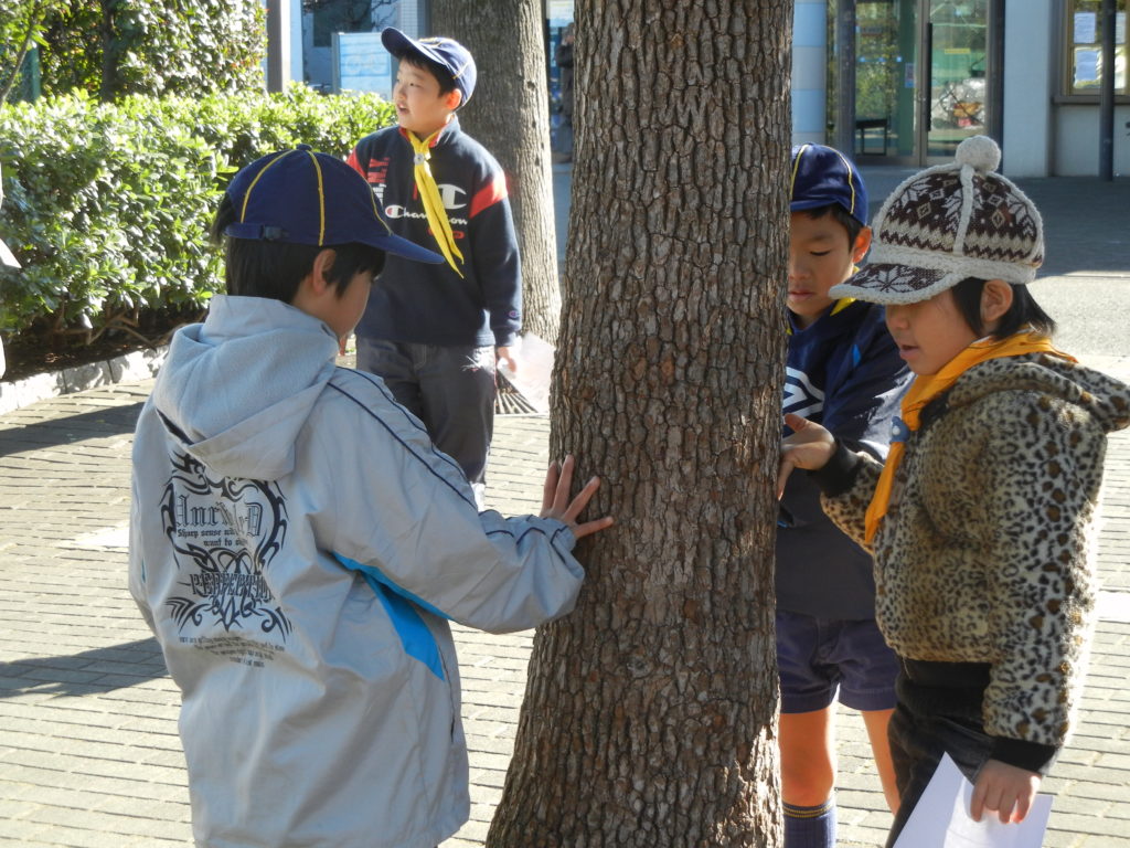 カブ活動報告