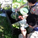 野草を食べるハイキング!(BS,2014,4月) ボーイ活動報告