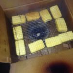 ベンチャー活動報告