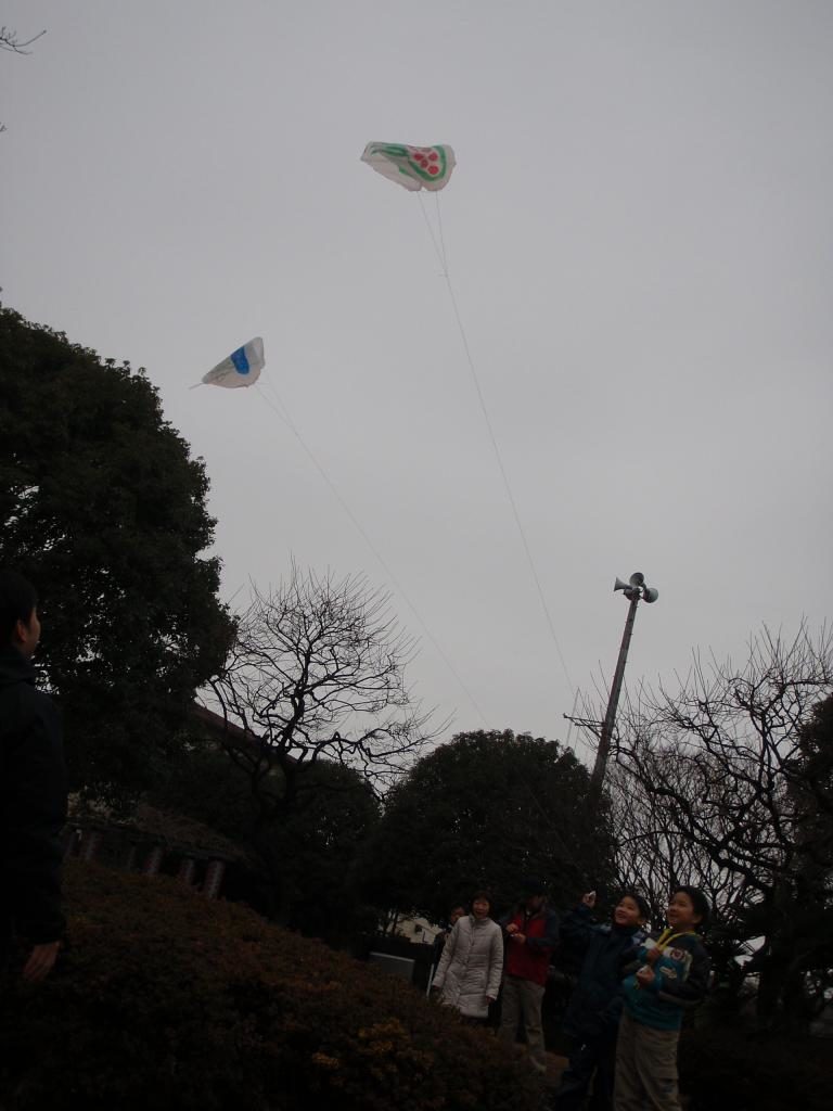 カブ活動報告