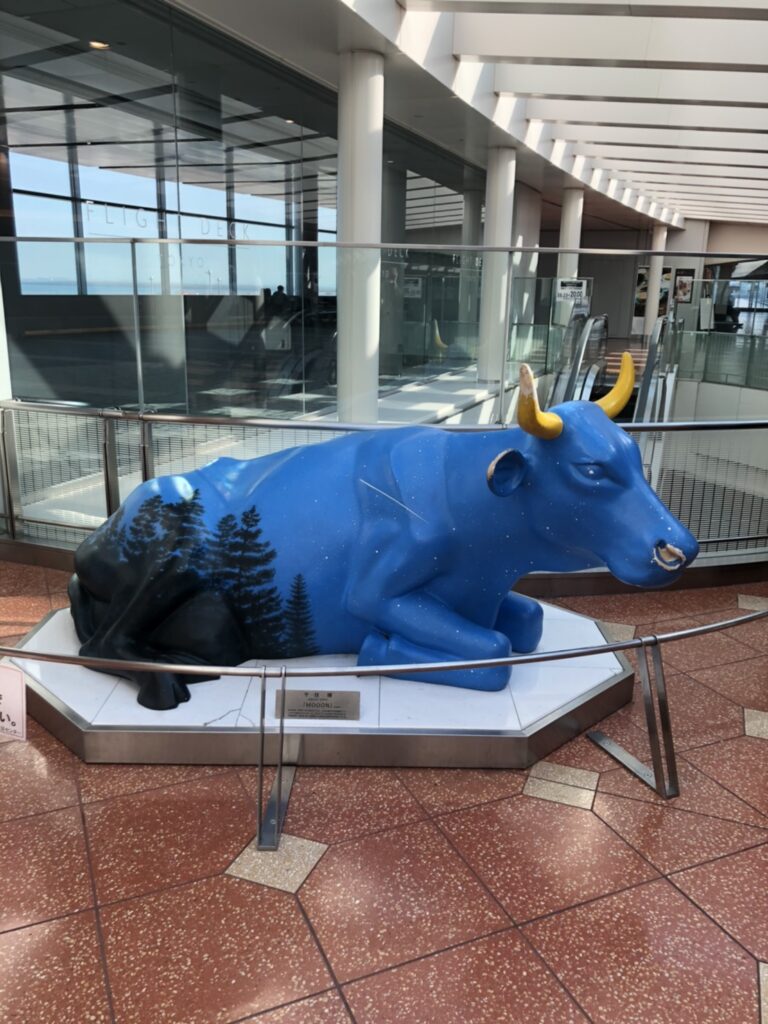 カブ活動報告