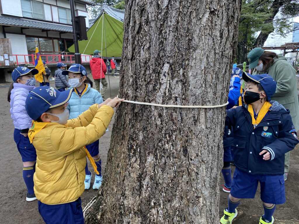 カブ活動報告