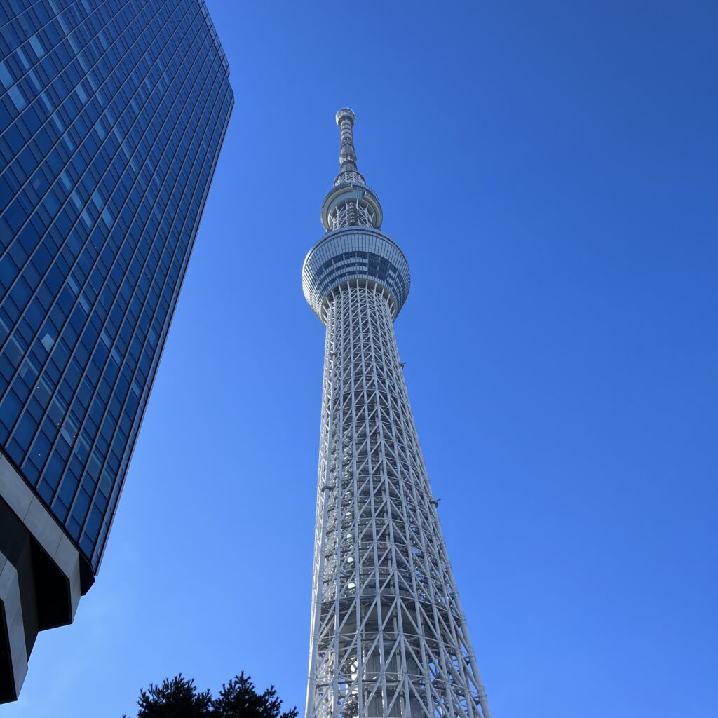 カブ活動報告