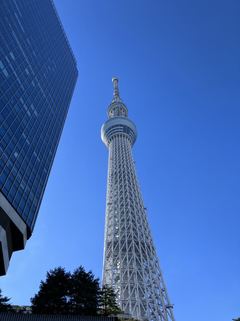 カブ活動報告