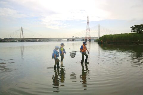 🌊開拓(CS_202506)