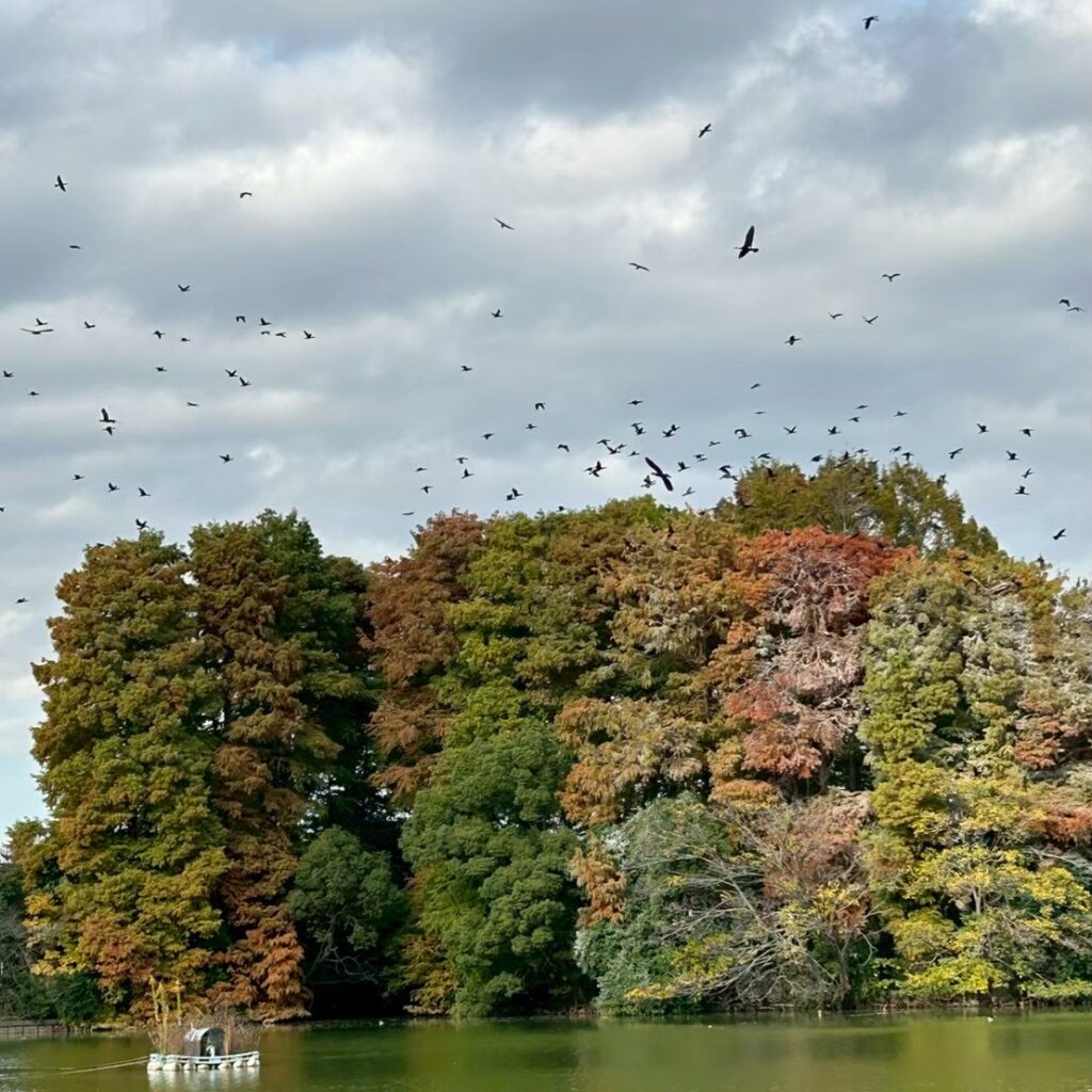 🗝️水の国(CS_202511)