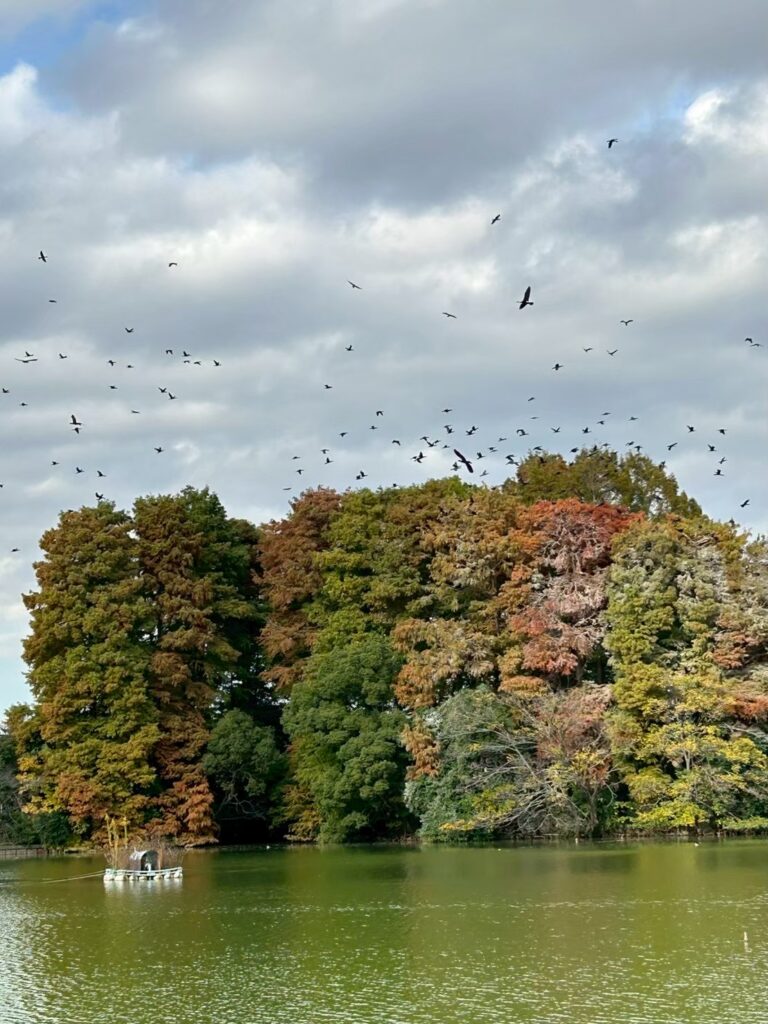 🗝️水の国(CS_202511) カブ活動報告