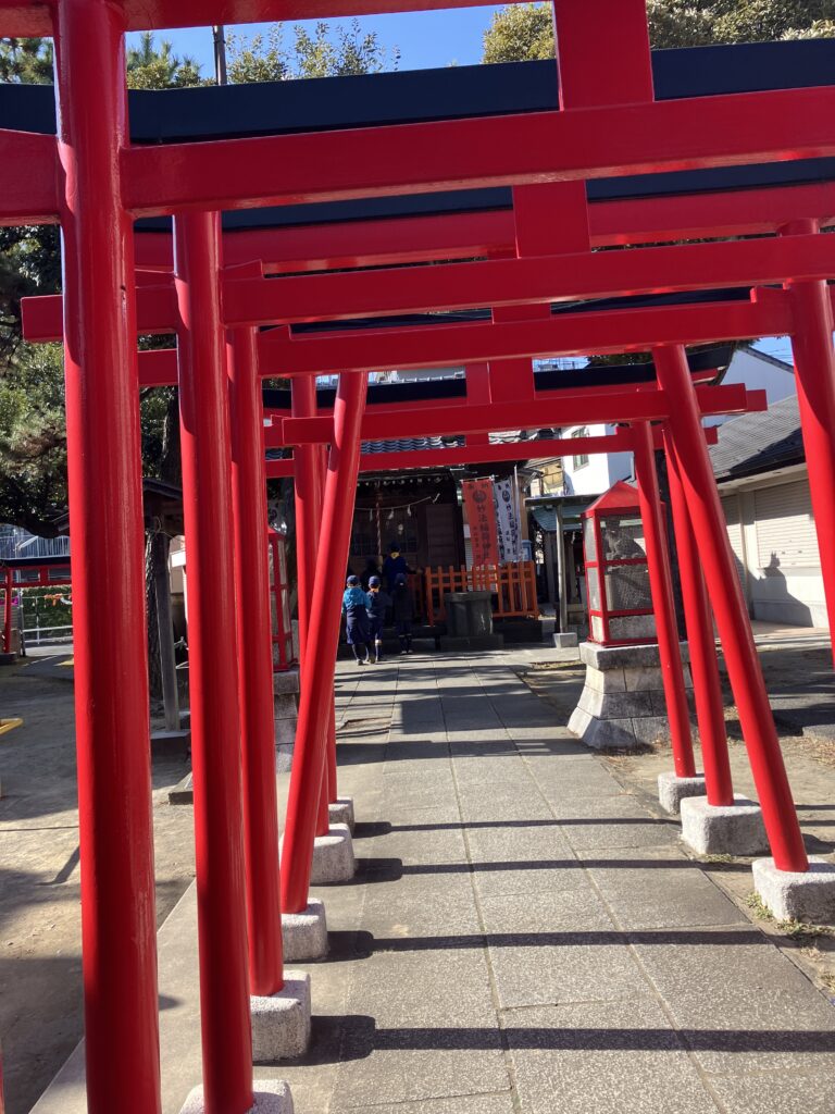 🗝️神々の国(CS_202601) カブ活動報告